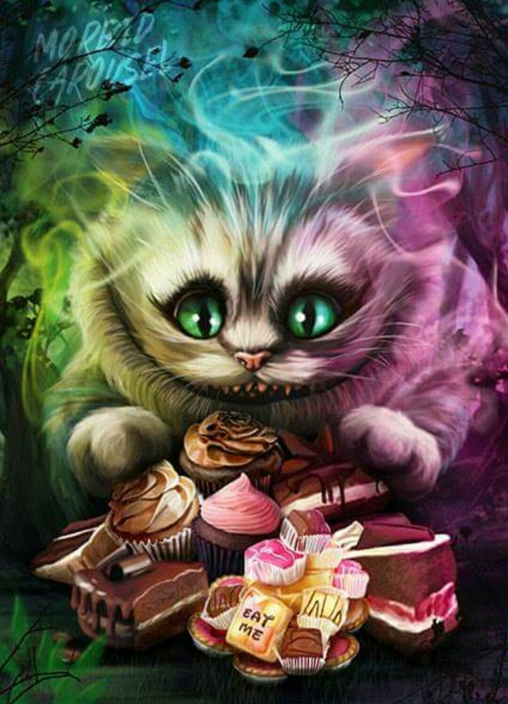 grinsekatze