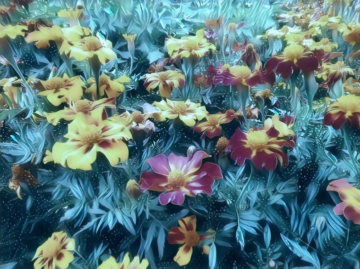 Marigold
