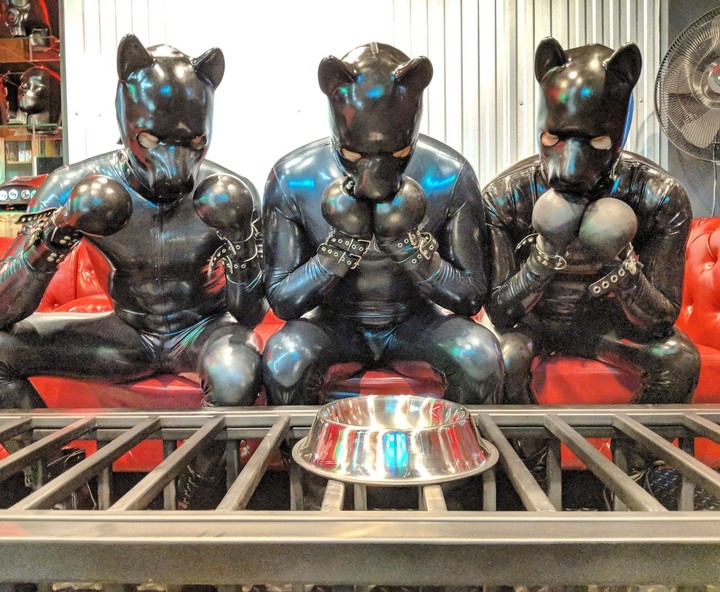 Rubber Petplayers