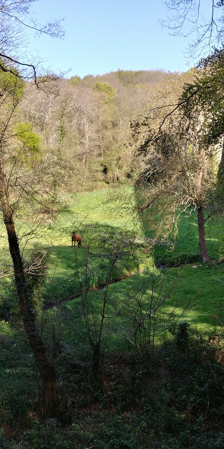 Nature lovers