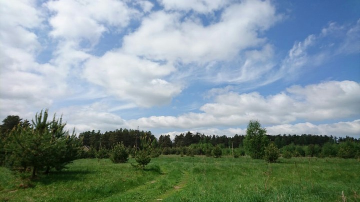 my weekend)