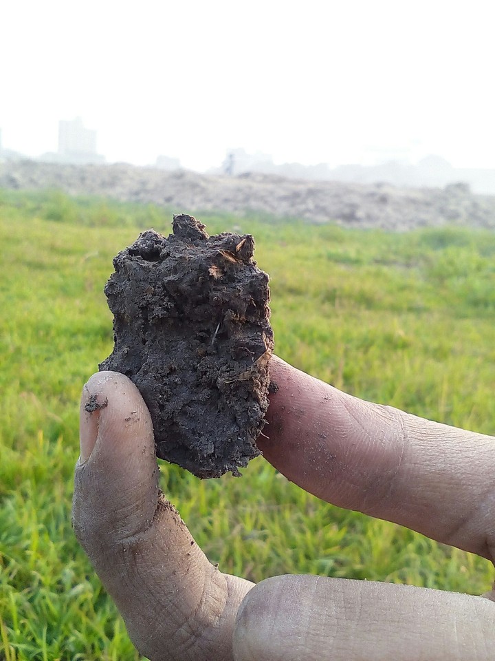 Soil