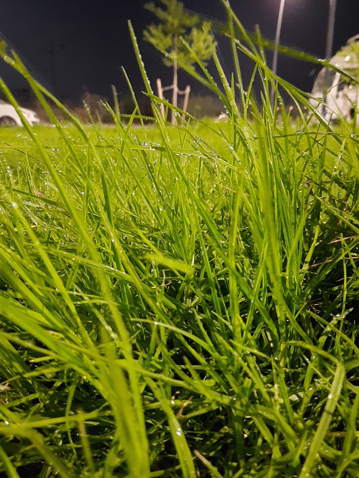 Urban irrigation