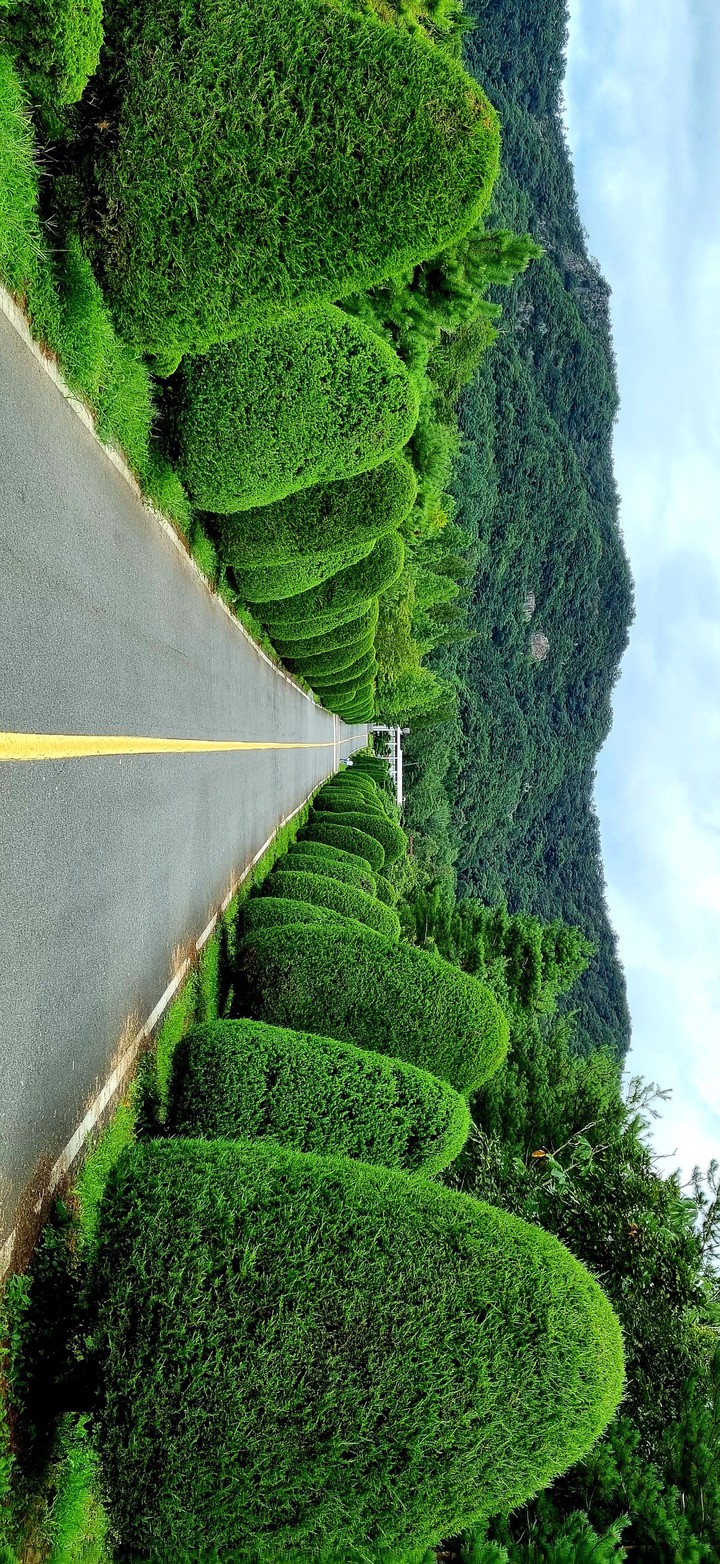 풍경