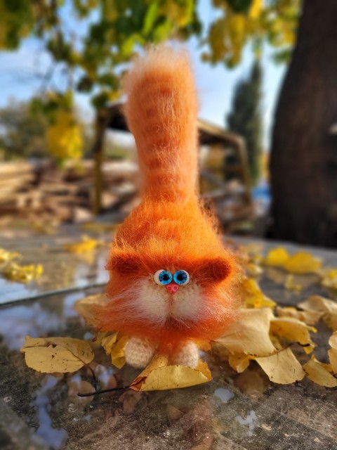 sfondi Tail, fungus