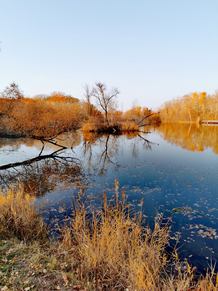 autumn