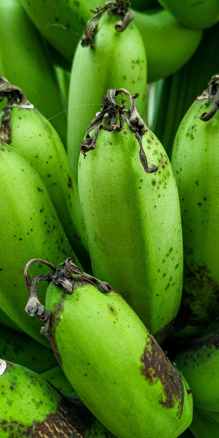 Banana