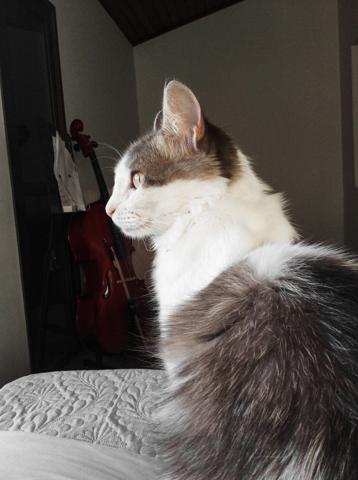 Freya