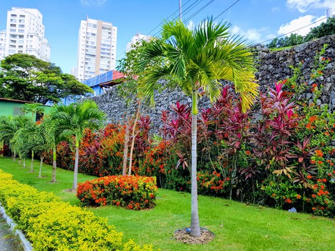 Jardim