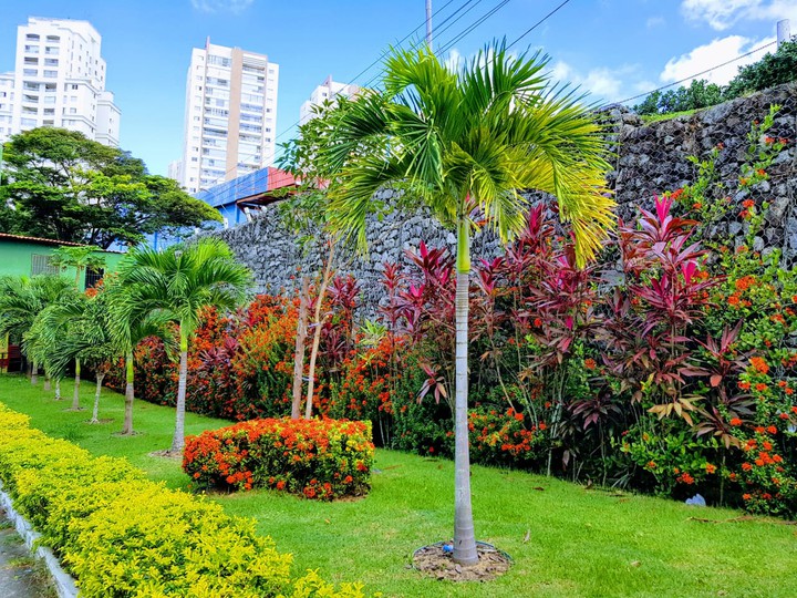 Jardim