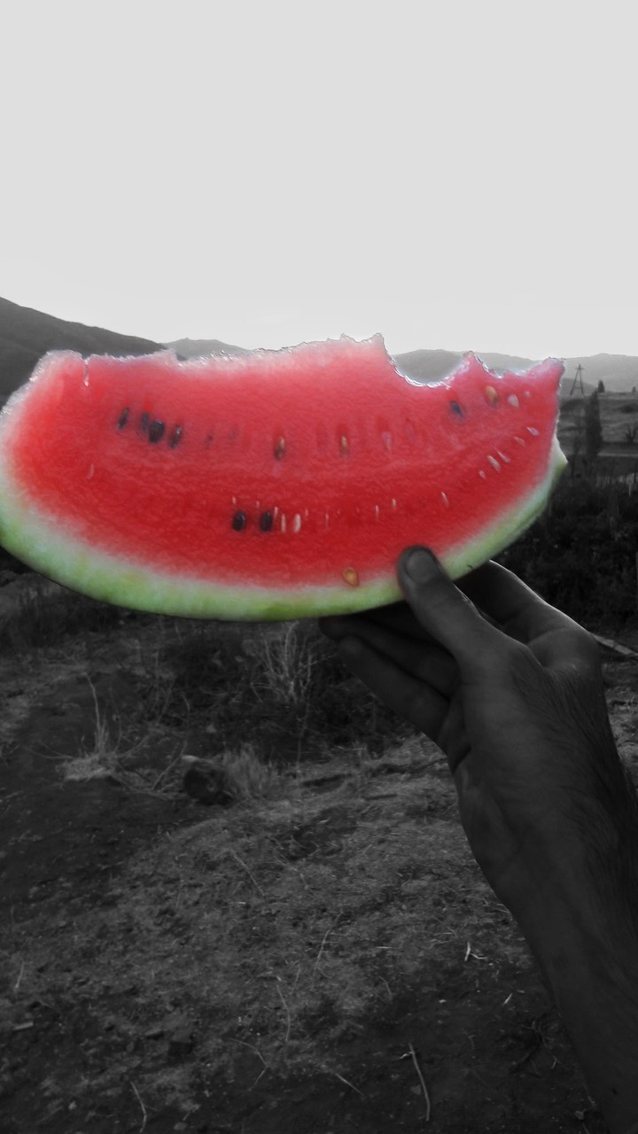watermelon