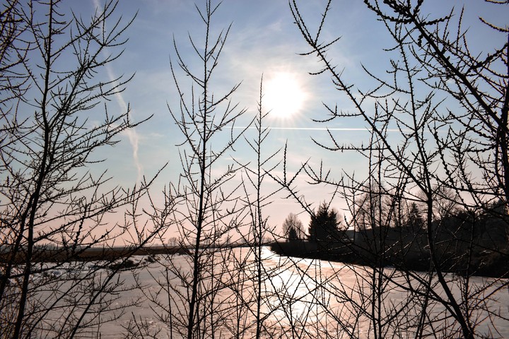 WINTER SUN