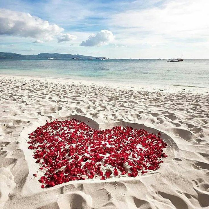 ❤ Bed Of Roses ❤️