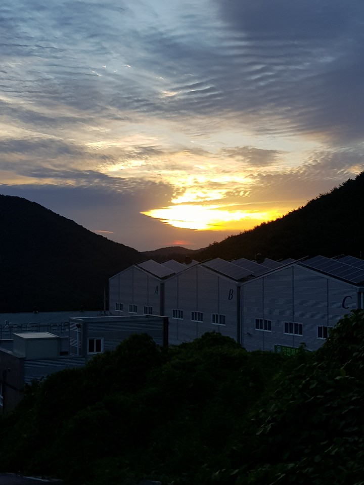 #저녘_노을