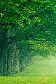 nature