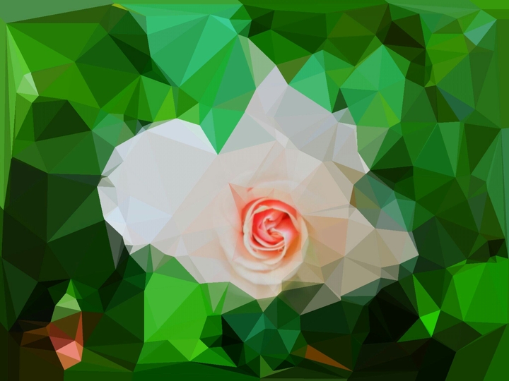 rose