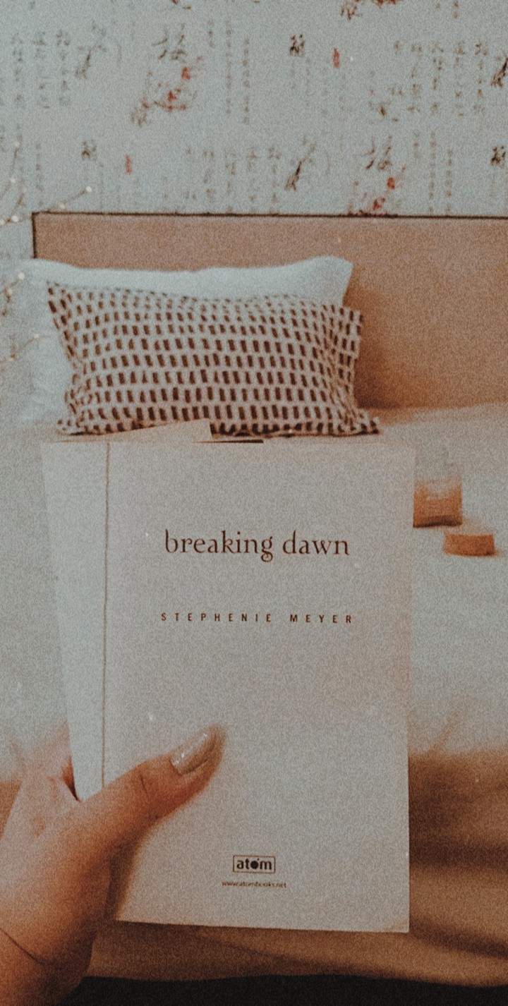 breaking dawn book