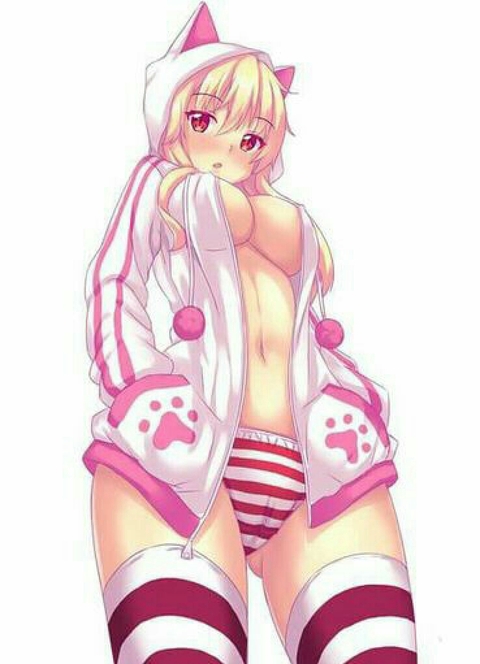 Ecchi Chica gato