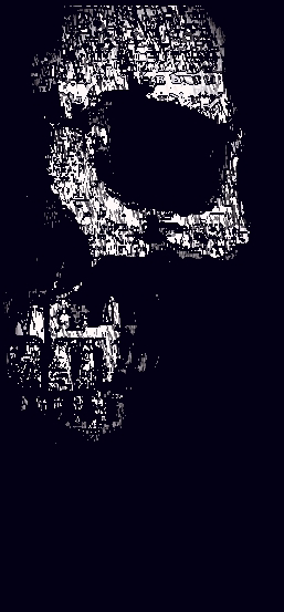 skull