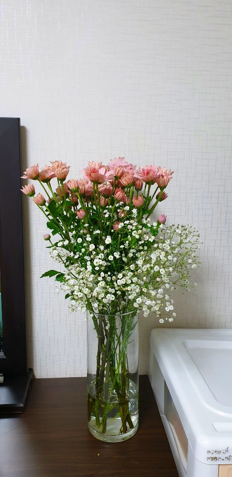 생화