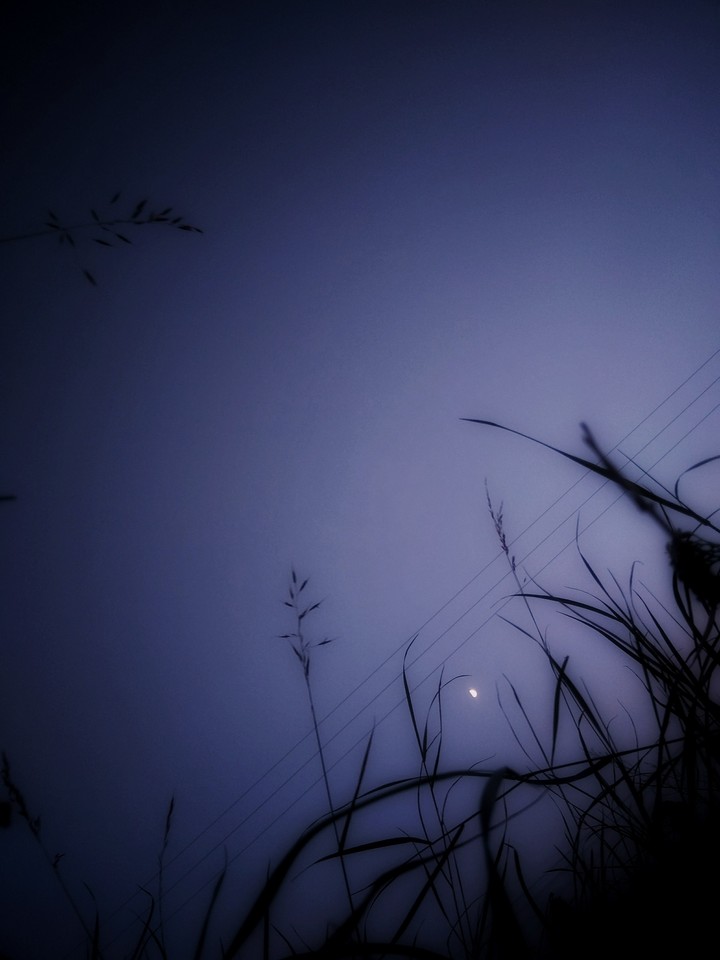 evening fairytale