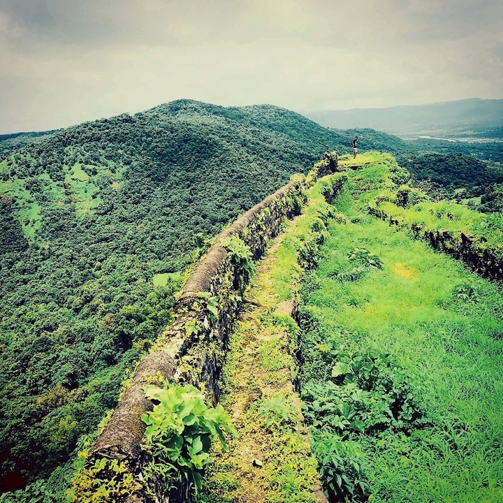 greenary