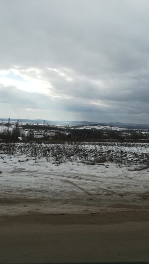 Beautiful winter