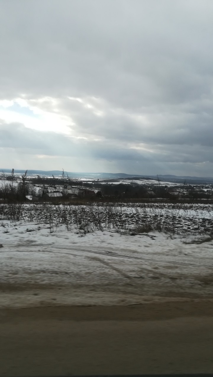 Beautiful winter