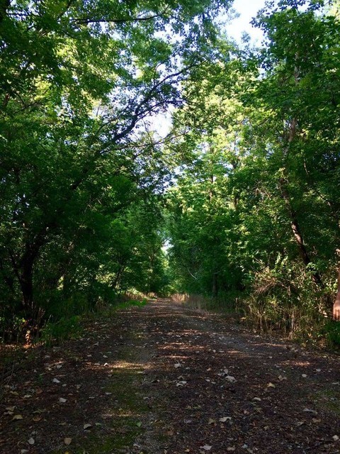 Path to the unknown
