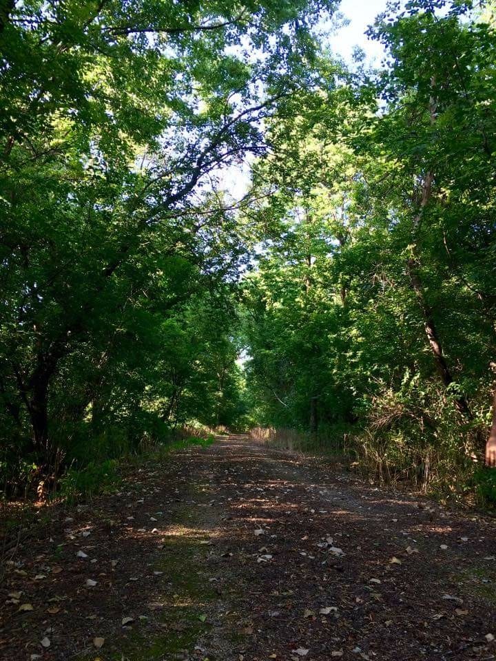 Path to the unknown