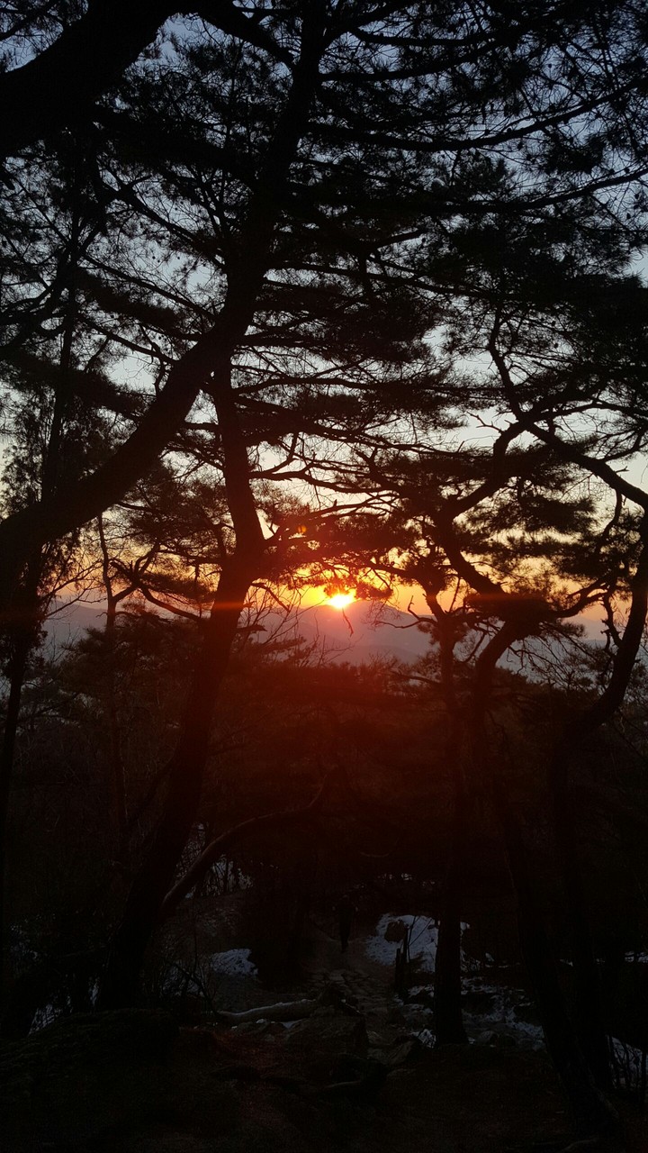 노을