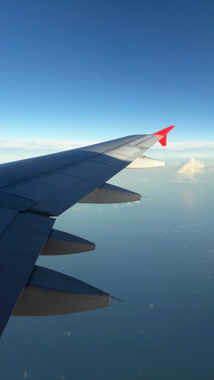 fly high