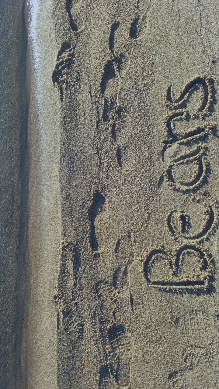 Bears on the beach
