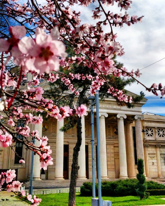 Spring in Romania