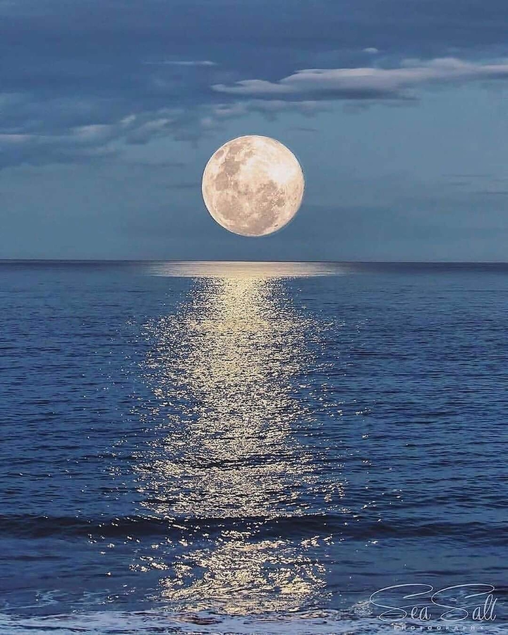 Moon ❤️