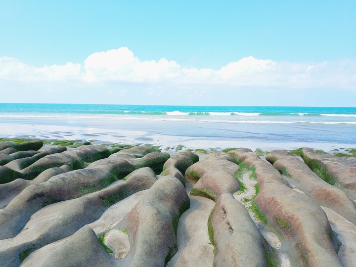 LaoMei Green Reef
