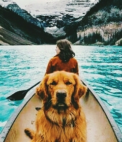 Uau Linda imagem