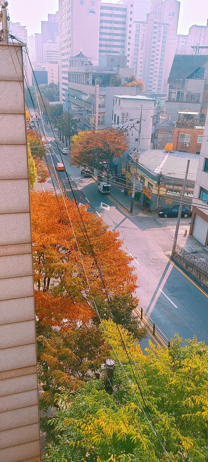 가을풍경