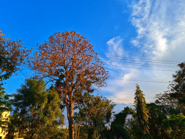 Some Sunshine