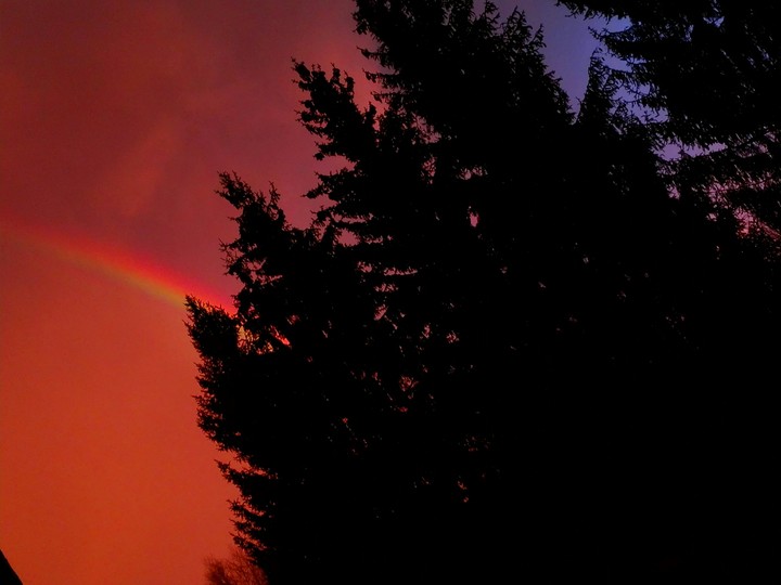 rainbow