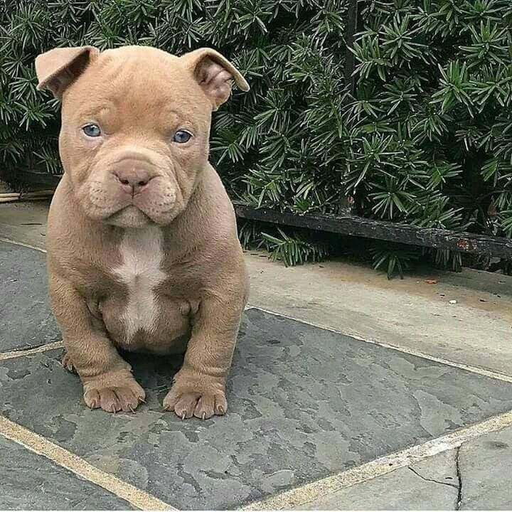 ♥️♥️♥️
