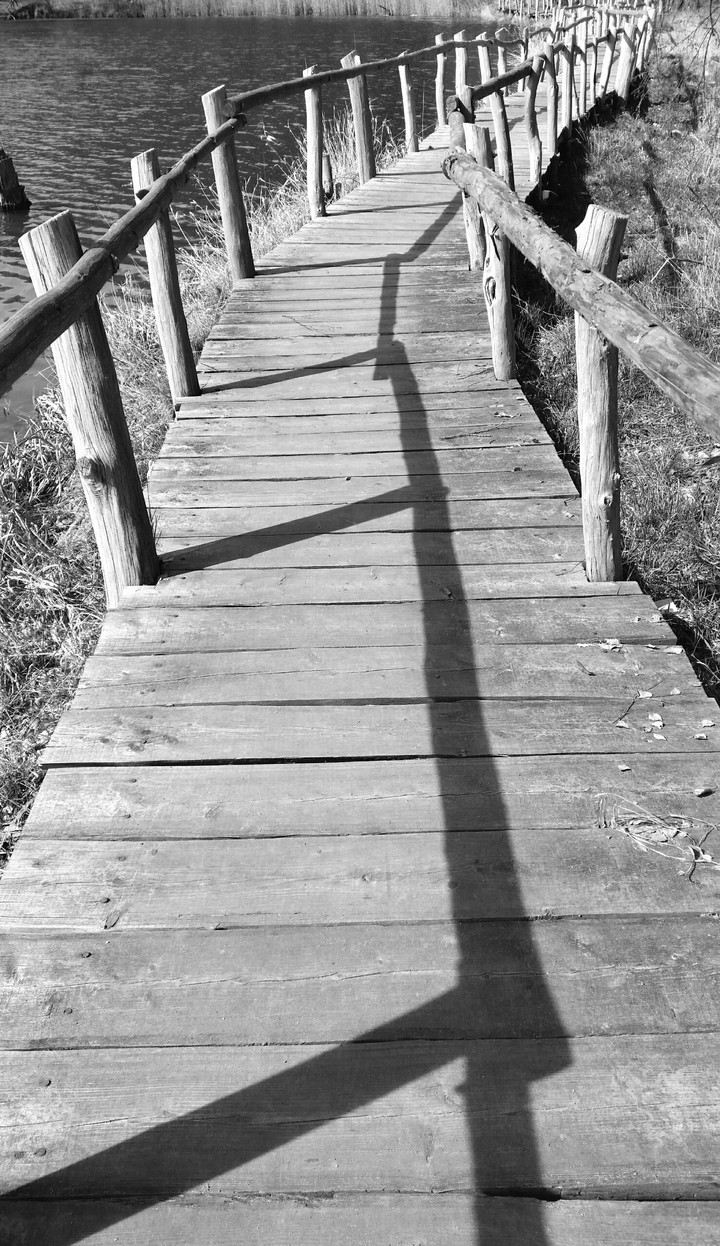 Way to the wonderland
