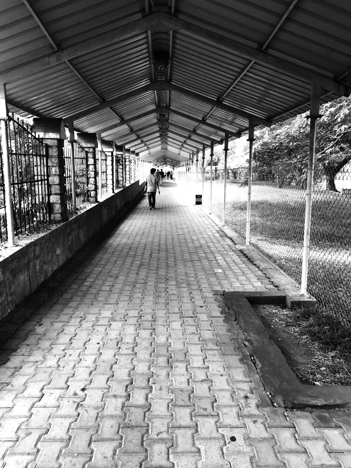 walking perspective