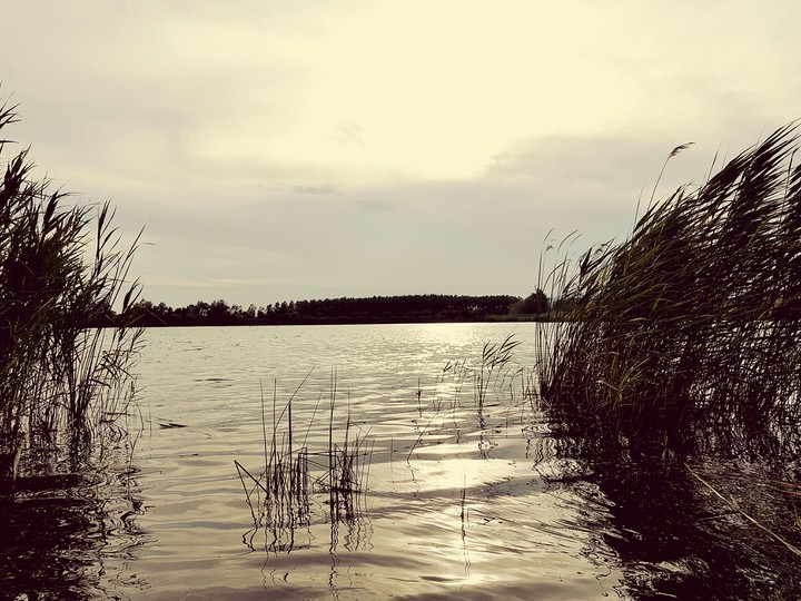 braccini lake