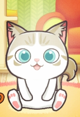 귀여운 고양이