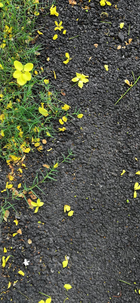 road