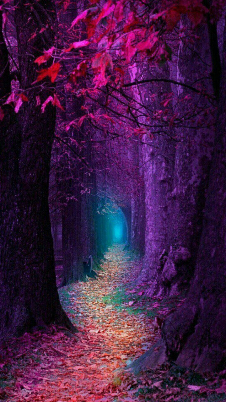 Forest