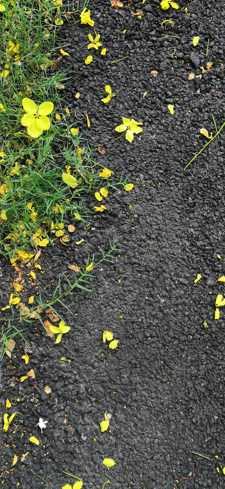 road