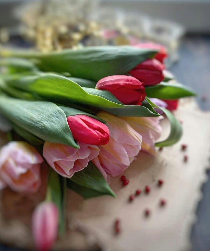 A beautiful Day for You ❤