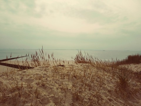spring in zeeland